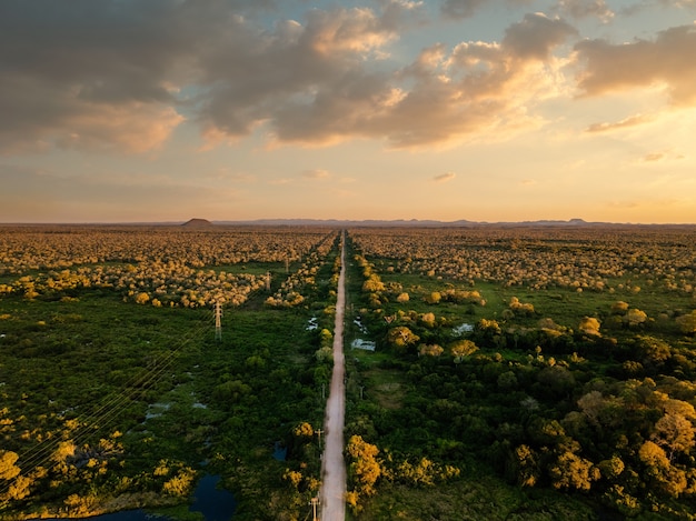 Vista de alto ângulo de uma bela paisagem verde com um caminho sob um céu nublado