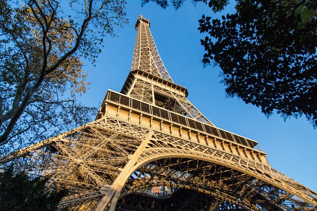 Vista de baixo ângulo da Torre Eiffel cercada por árvores sob a luz do sol em Paris, na França