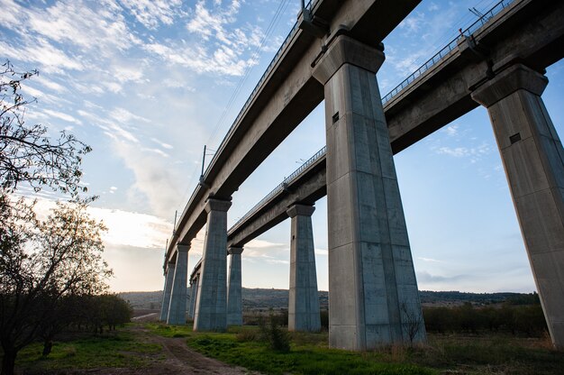Vista de baixo ângulo de uma ponte de concreto cercada por vegetação sob a luz do sol