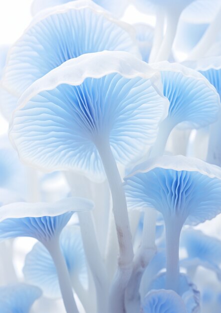 Vista de cogumelos brancos e azuis