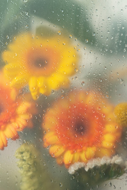 Vista de flores através de vidro condensado