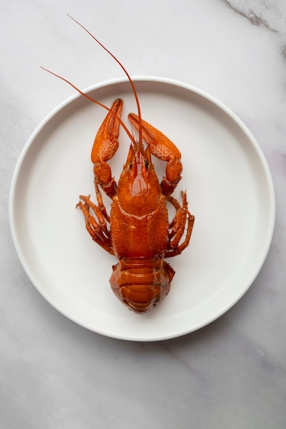 Foto grátis vista de lagosta no prato