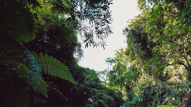 Vista deslumbrante da cachoeira.