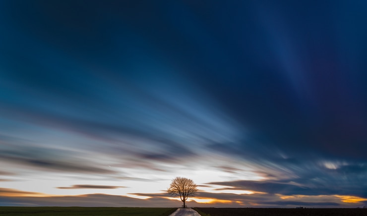 Foto grátis vista deslumbrante de uma árvore no meio de um campo gramado com o lindo céu colorido