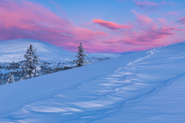 Vista deslumbrante de uma floresta coberta de neve durante o pôr do sol na Noruega