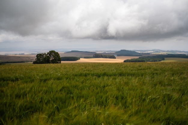 Vista deslumbrante sobre os campos gramados sob o céu nublado no Monte Quênia