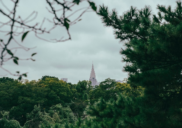 Foto grátis vista do arranha-céu na cidade a partir da vegetação