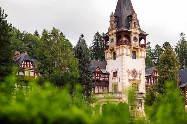 Foto grátis vista do castelo de peles na romênia