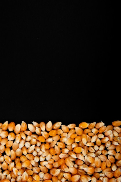 Vista do close-up de sementes de milho secas em fundo preto, com espaço de cópia