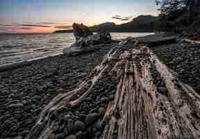 Foto grátis vista do mar rochosa em vancouver