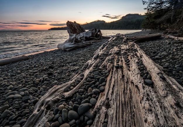 vista do mar rochosa em Vancouver