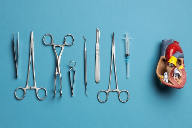 Foto grátis vista do modelo anatômico do coração para fins educacionais com instrumentos médicos