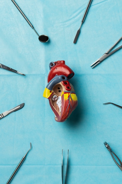 Foto grátis vista do modelo anatômico do coração para fins educacionais com instrumentos médicos