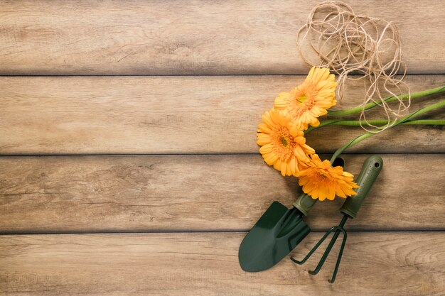 Vista elevada de flores frescas; equipamentos de corda e jardinagem na mesa de madeira marrom