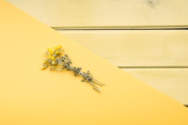 Foto grátis vista elevada, de, flores secadas, ligado, amarela, papel, ob, madeira, fundo