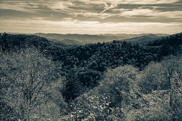 Foto grátis vista em tons de cinza de montanhas verdes de árvores florestais e um céu azul nublado no horizonte