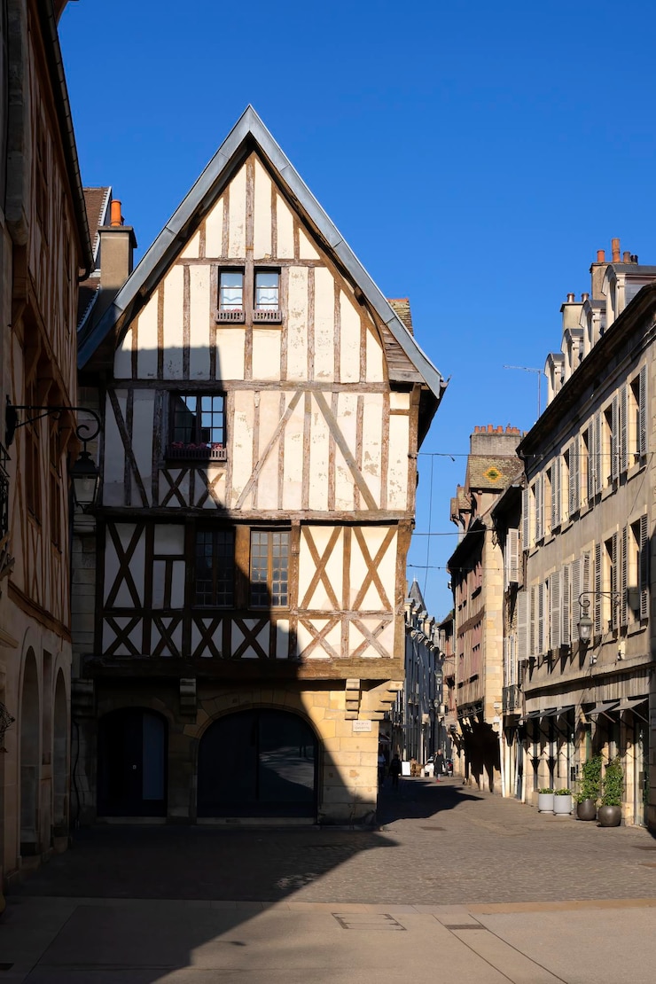 Foto grátis vista famosa da rue de la chouette dijon