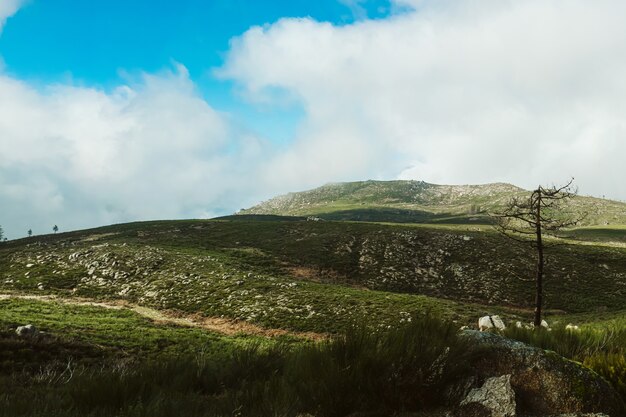 Vista fascinante da bela paisagem montanhosa sob um céu nublado