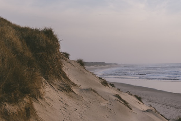 Vista fascinante de uma praia de areia com o oceano