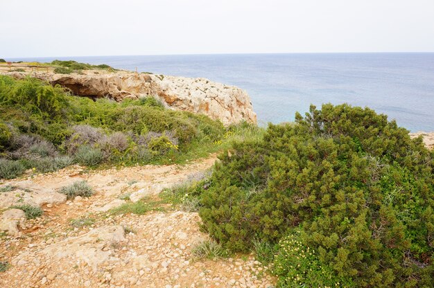 Vista fascinante do oceano calmo com falésias e grama na costa