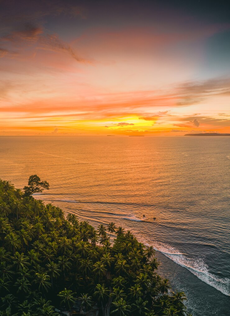 Foto grátis vista fascinante do oceano calmo e das árvores na costa durante o pôr do sol na indonésia
