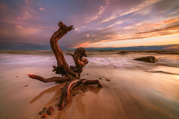 Foto grátis vista fascinante do pôr do sol sobre o mar báltico, lituânia