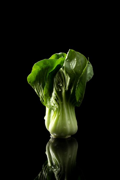 Vista frontal bok choy