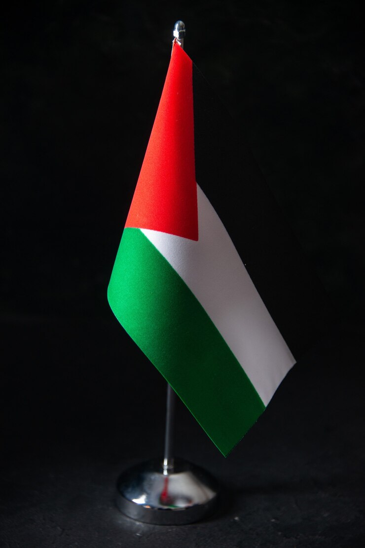 Foto grátis vista frontal da bandeira da palestina no preto
