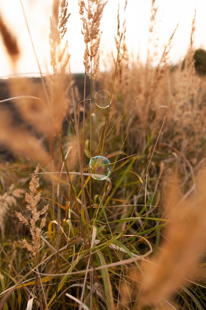 Vista frontal da grama ao ar livre com bolha de sabão