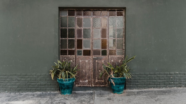 Vista frontal das portas da casa com vidros e plantas