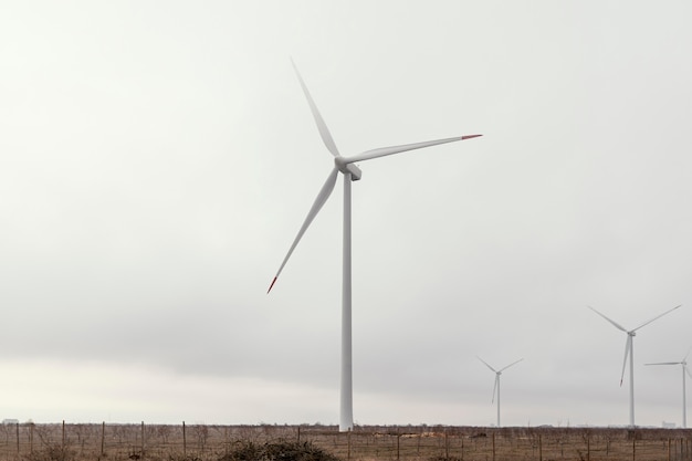 Vista frontal das turbinas eólicas no campo