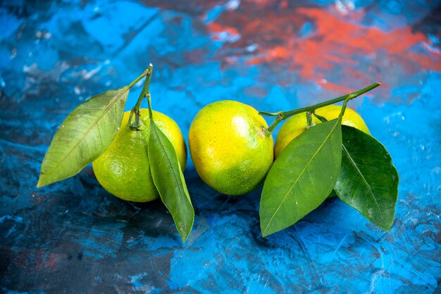 Vista frontal de tangerinas frescas com folhas em fundo azul isolado