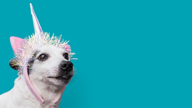 Vista frontal de um cão bonito com espaço de cópia