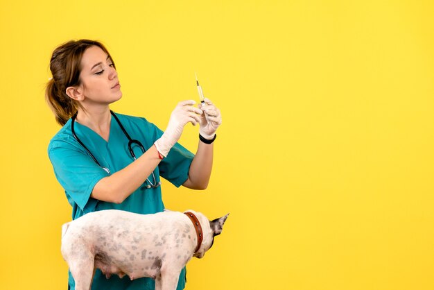 Vista frontal de veterinária injetando cachorrinha no chão amarelo, doença animal fofa