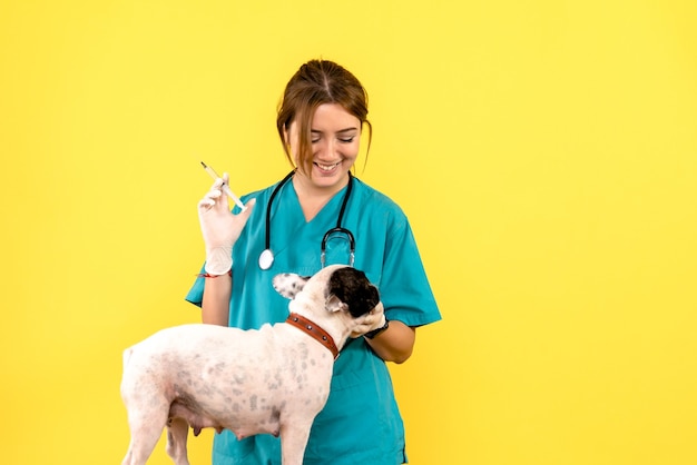 Vista frontal de veterinária injetando cachorrinho na parede amarela