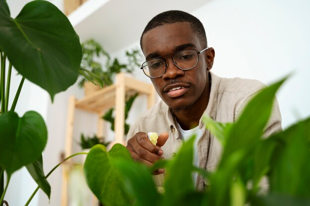 Vista frontal homem limpando a folha da planta