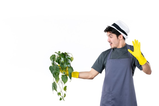 Vista frontal jovem macho em luvas amarelas segurando a planta no fundo branco grama árvore terra trabalho verde jardim flor jardineiro