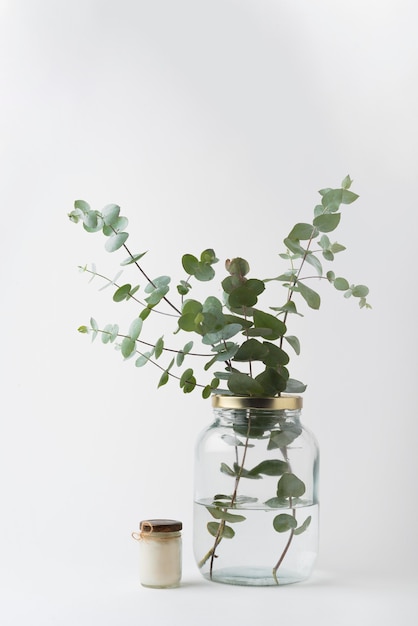 Vista frontal verde folhas em uma jarra