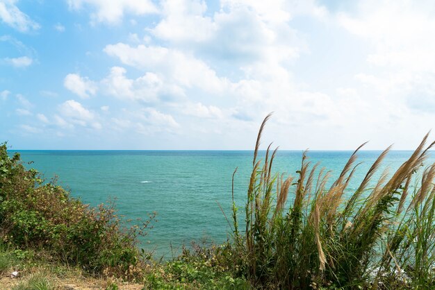 Vista geral da ilha tropical do mar