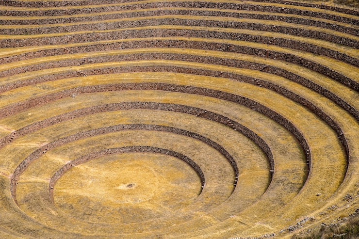 Foto grátis vista incrível de terraços circulares em um dia quente