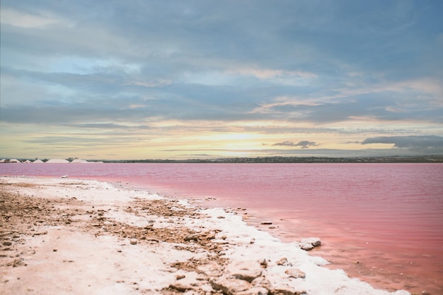 Vista incrível do mar rosa