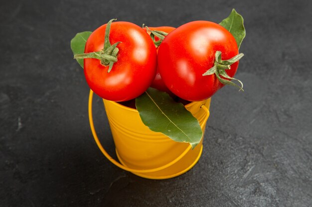 Vista inferior de um balde com tomates e folhas de louro em fundo escuro