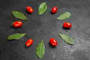 Foto grátis vista inferior de uma tigela de ketchup em torno de tomates-cereja e folhas de louro em fundo escuro