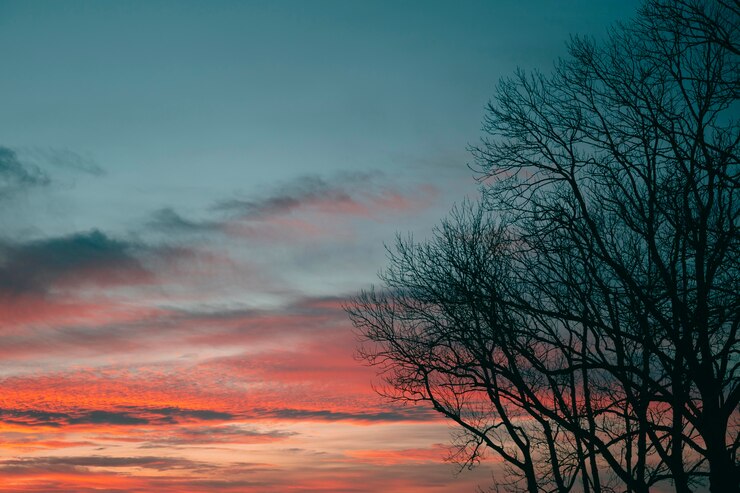 Foto grátis vista inspiradora da luz do pôr do sol