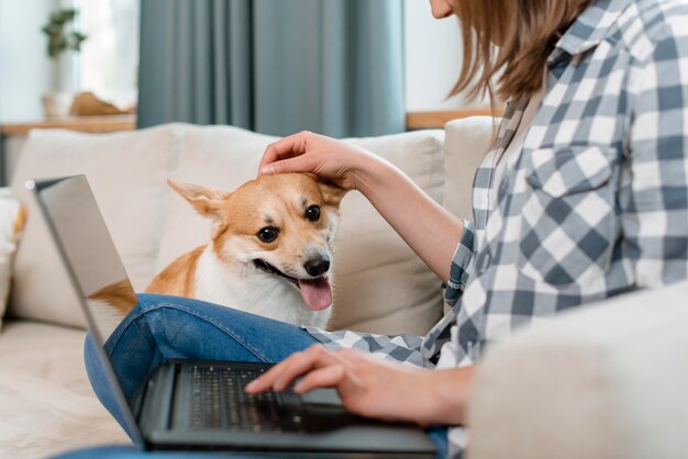 Vista lateral da mulher com cachorro no sofá trabalhando no laptop