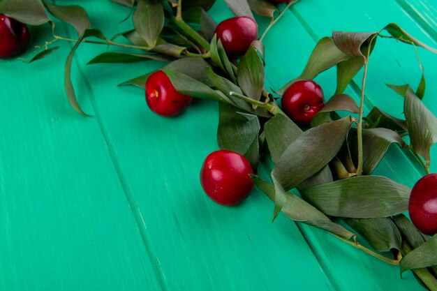 Vista lateral de cerejas maduras vermelhas com folhas verdes em madeira verde