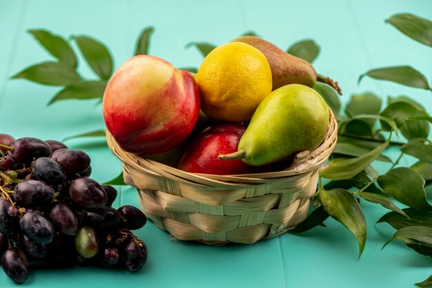 Vista lateral de frutas como pêssego limão pêra em uma cesta com uvas e folhas no fundo azul