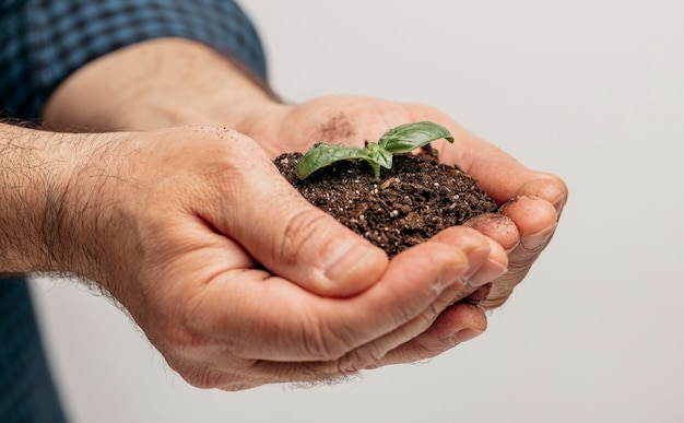 Vista lateral de mãos masculinas segurando o solo e a planta em crescimento