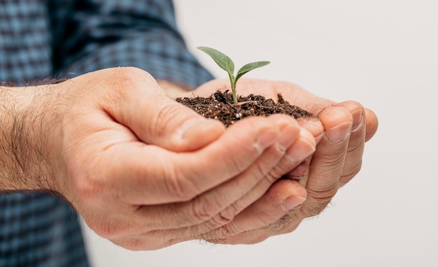 Vista lateral de mãos masculinas segurando o solo e uma plantinha