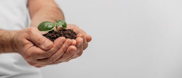 Vista lateral de mãos masculinas segurando solo e planta com espaço de cópia